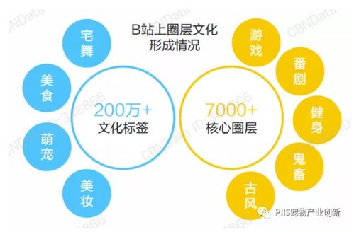 优宠智能 2021年宠物产品与服务的引爆点——数字文化创意内容的正确打开方式